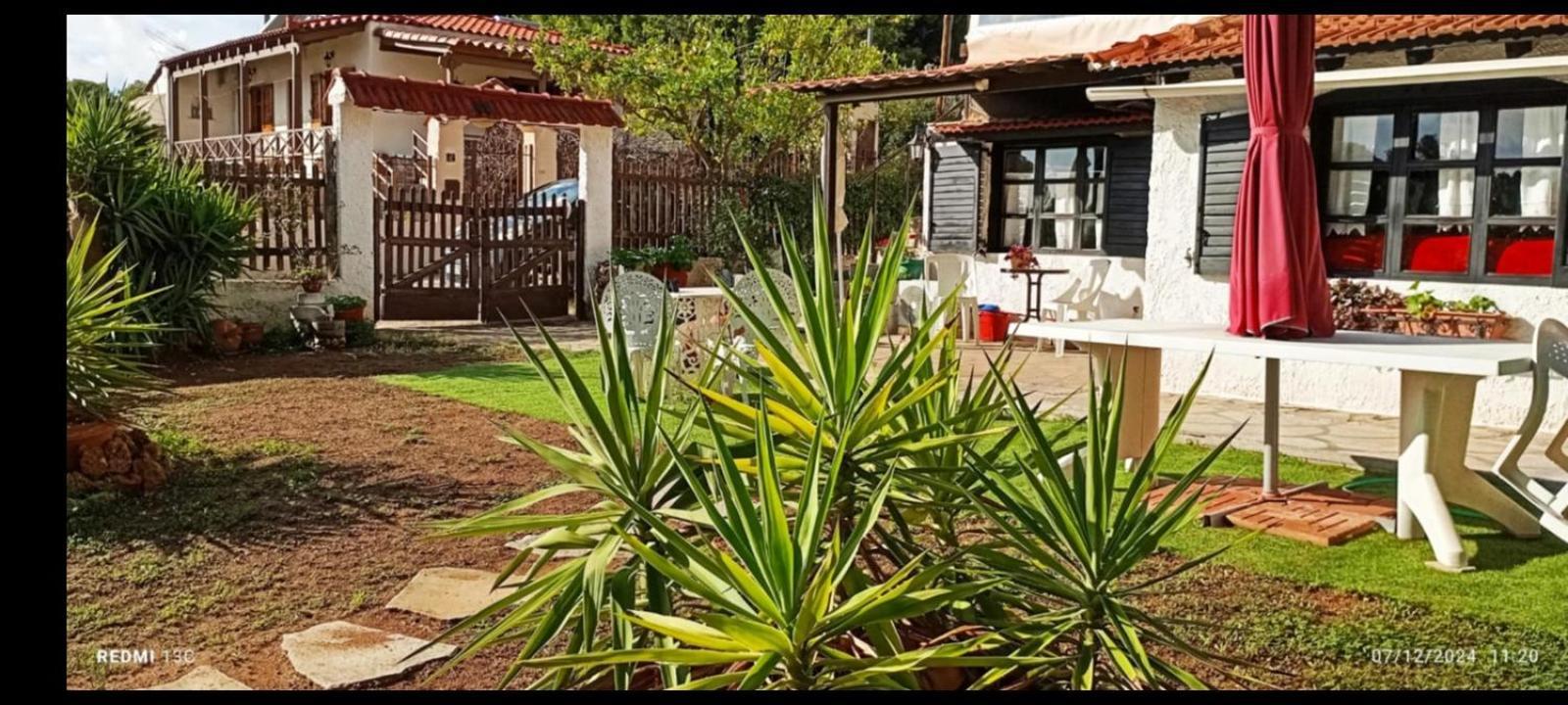 Phedra'S House Spata- Artemida Exterior photo